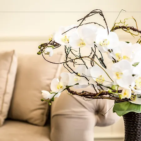 Hotel Palace Marina Dinevi Sveti Vlas